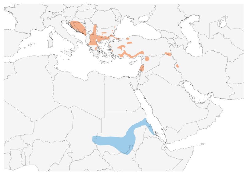 Distribution Pouillot oriental.jpg