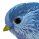 Avatar de l’utilisateur
