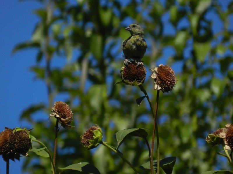 Photo%201318.jpg