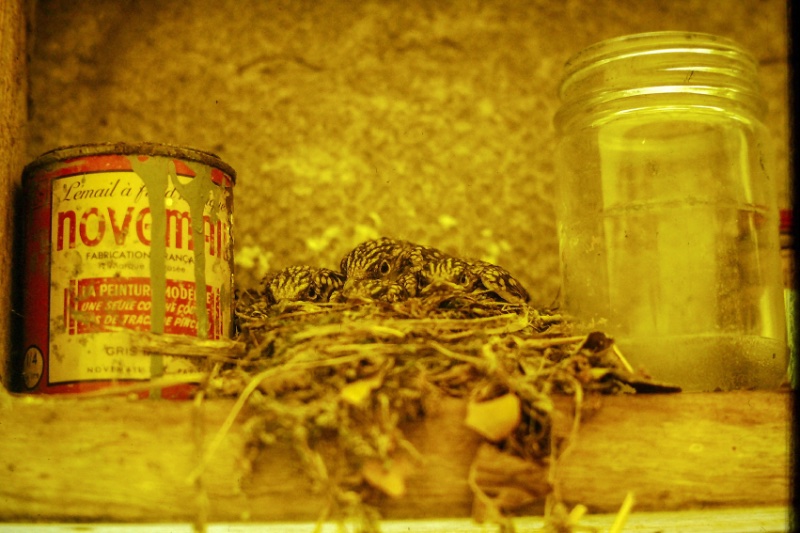 PICT0875.jpg