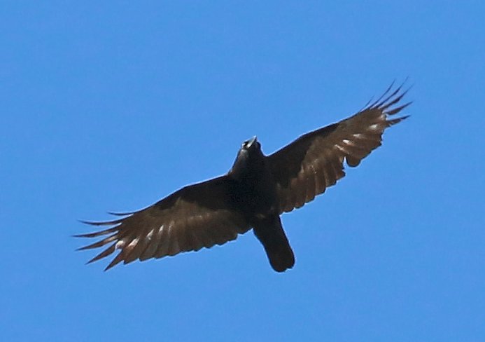 IMG_41326.jpg