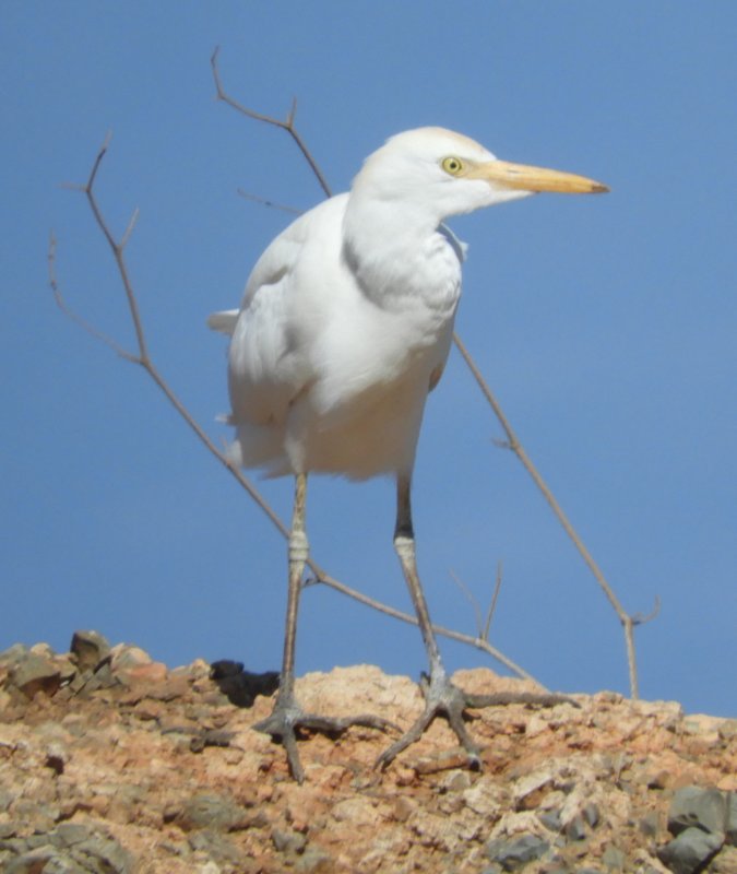 DSCN1937.JPG