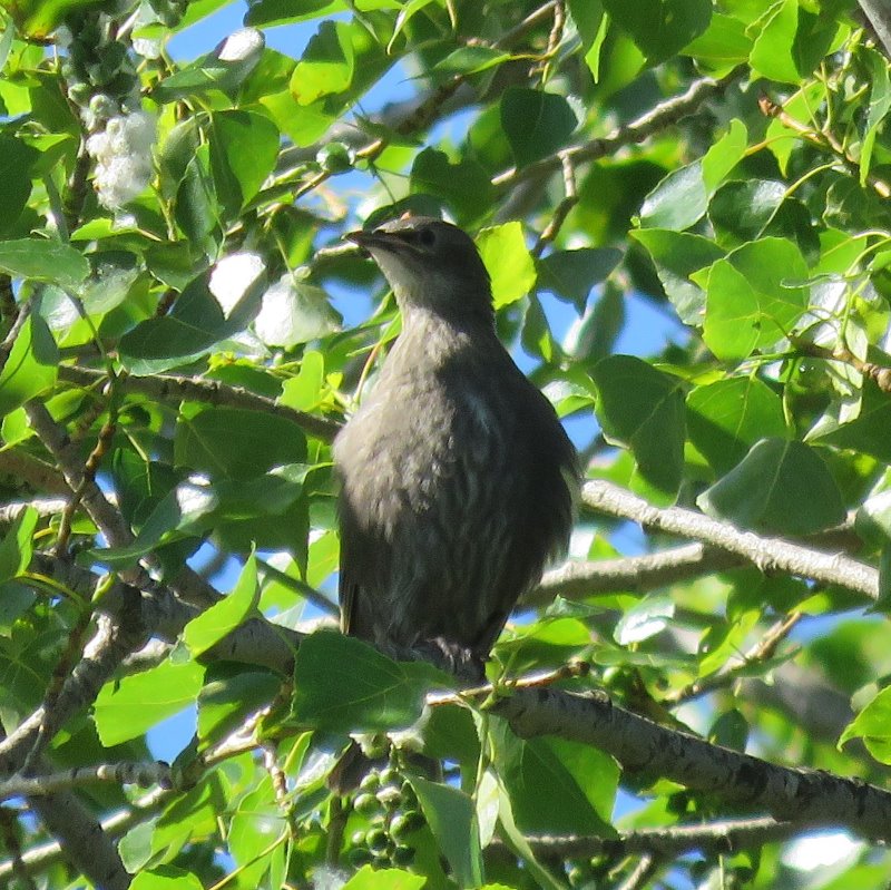 IMG_3647.JPG