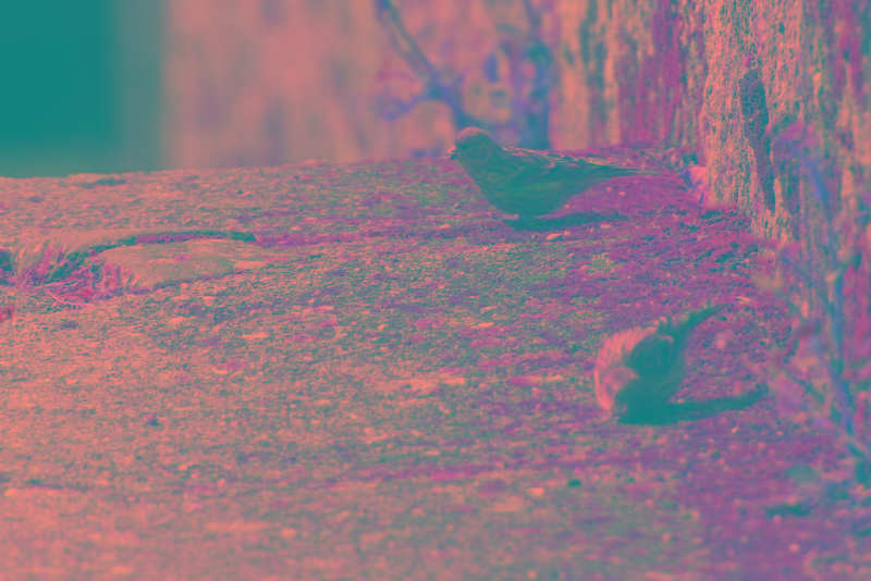 Portugal.2019.06.14 (674).jpg