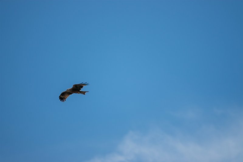 20190621011133-4bee65e5-la.jpg