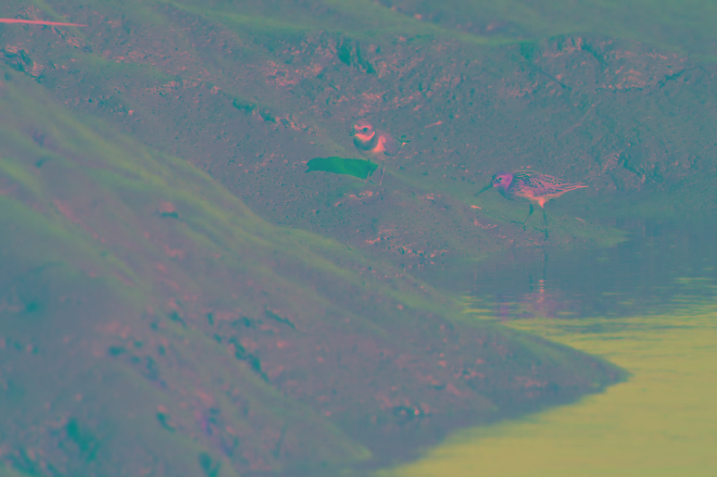 2019.09.02. Certes et Graveryron.jpg
