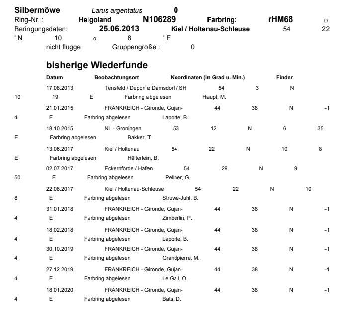 Fiche Larus argentatus.jpg