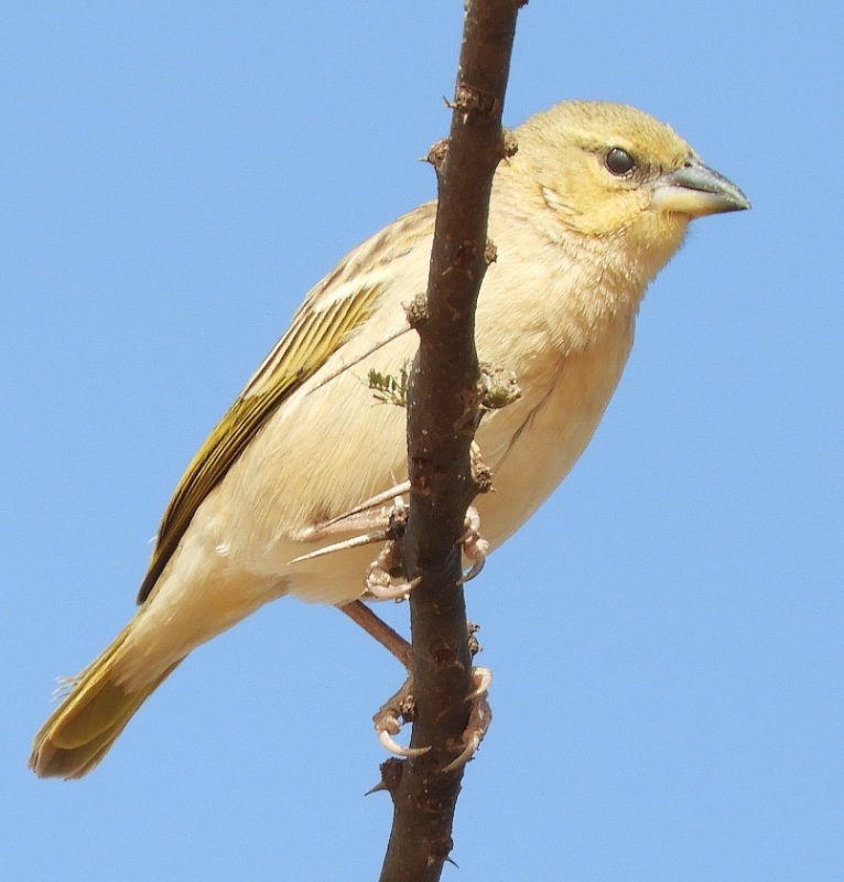 DSCN9279.JPG