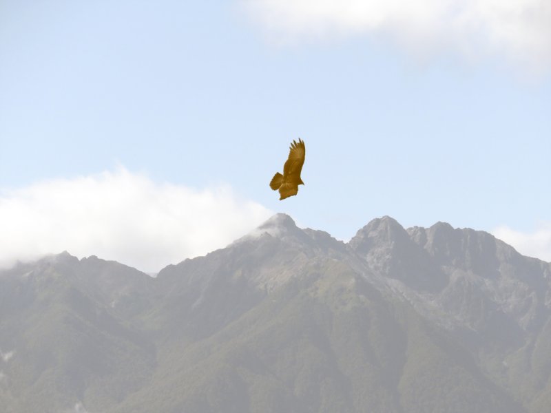 b IMG_2629.jpg