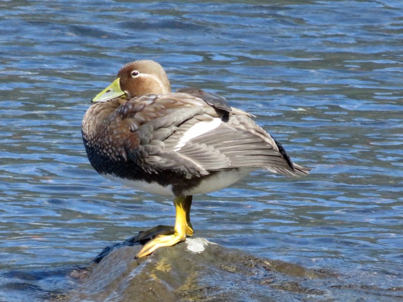 b IMG_2643.jpg
