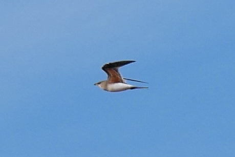 IMG_4227.JPG