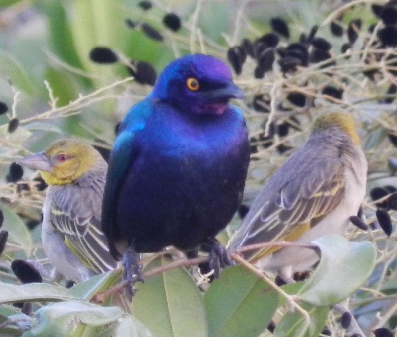 DSCN4448.jpg