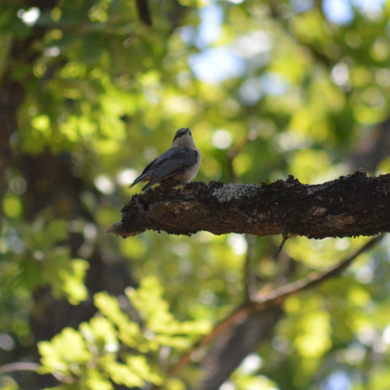 DSC_0150.JPG