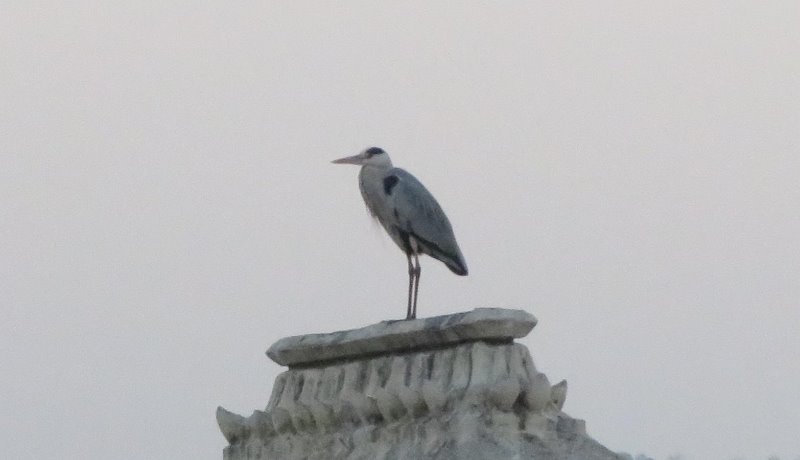 J7 - Jodhpur-Udaipur 292 (2) (Copier).JPG