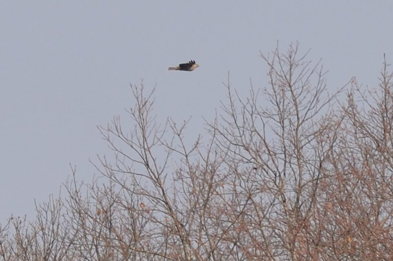DSC_3467_175.JPG
