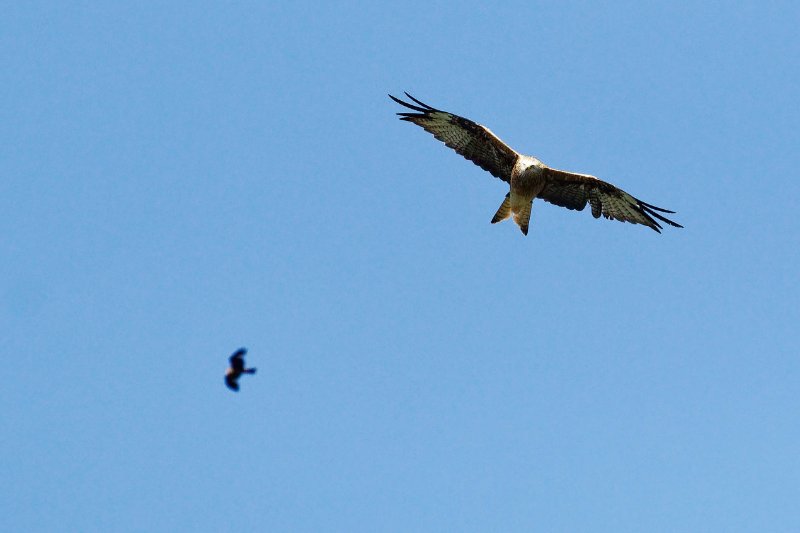 IMG_4652_DxO.jpg