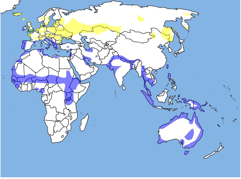 LimosalimosaWorldDistribution.jpg
