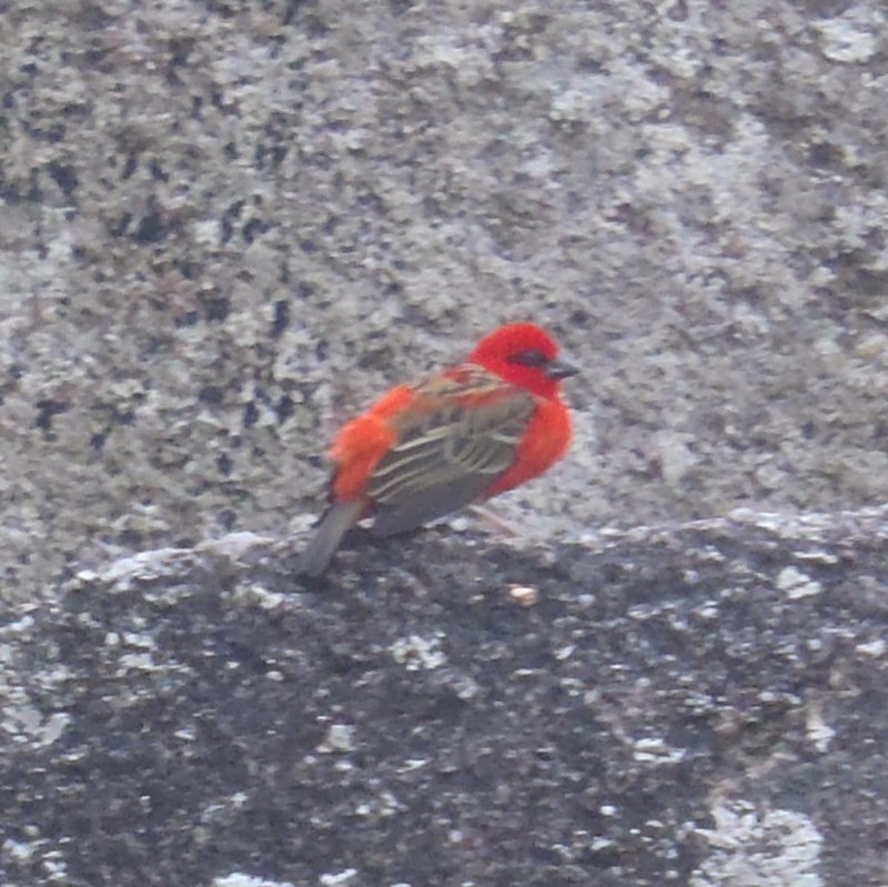 P8260226 (2).JPG