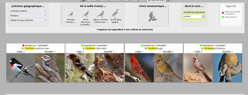 Cardinal.jpg