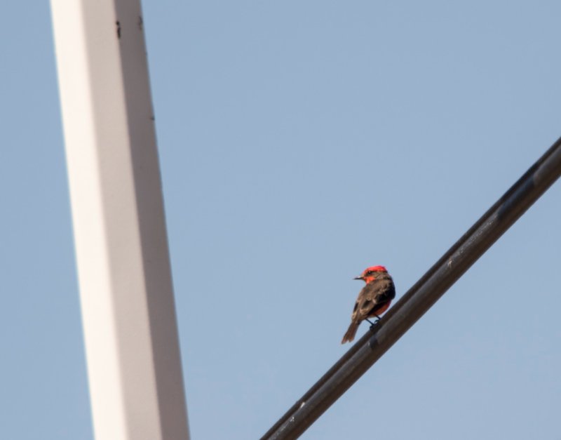 10082015-_L0A2672.jpg