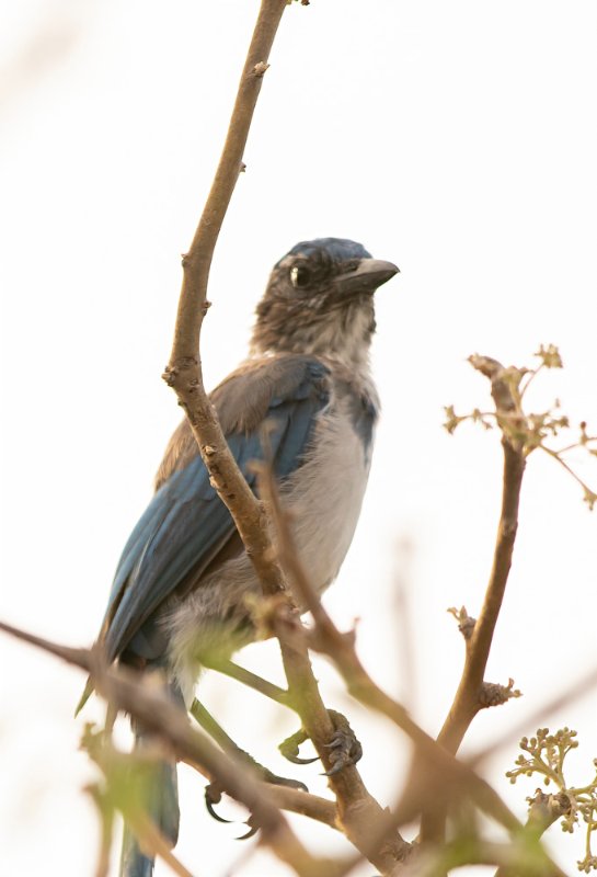 20082015-_L0A3788-Modifier.jpg