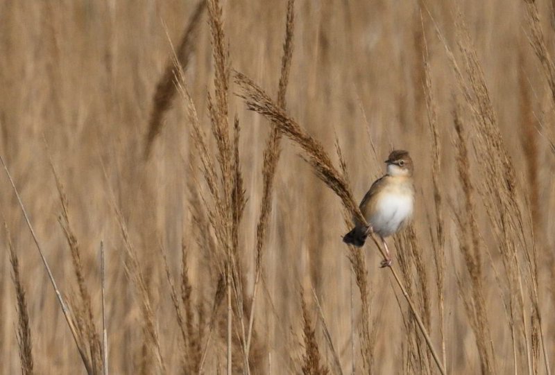 DSC_0407.JPG