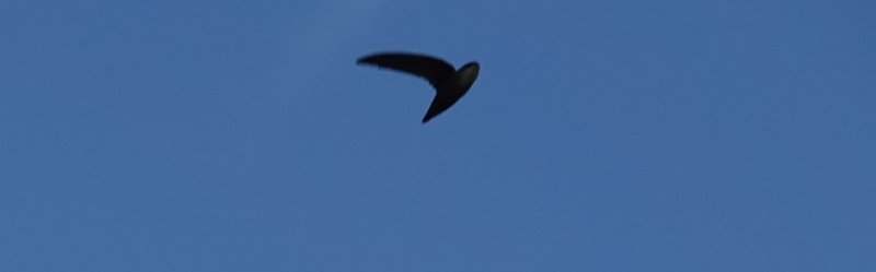 DSC01872.JPG