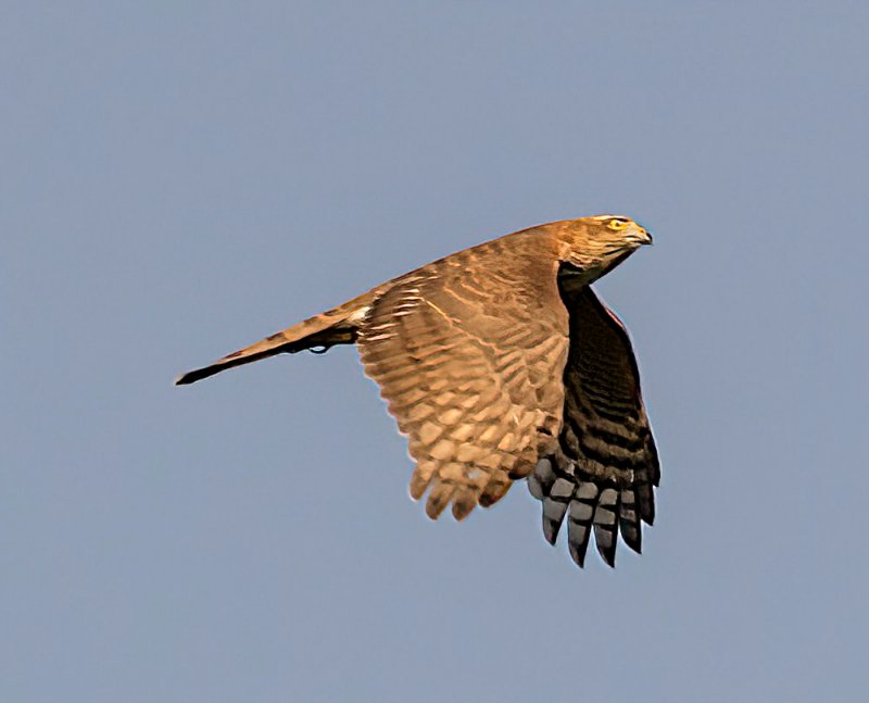 20082021-A78A0210-Modifier-1.jpg