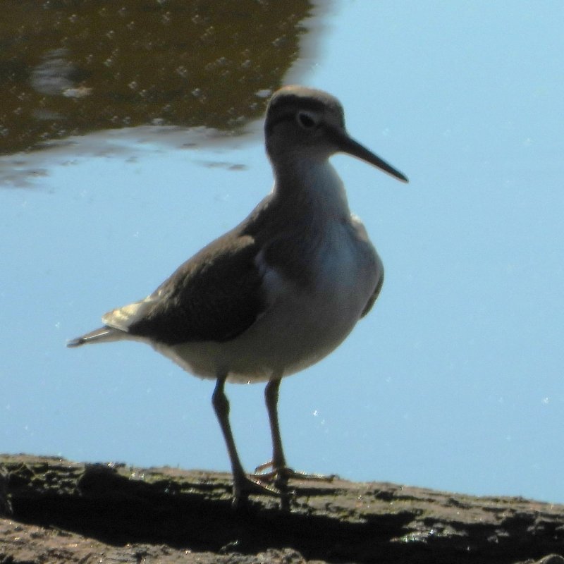 DSCN1235.JPG