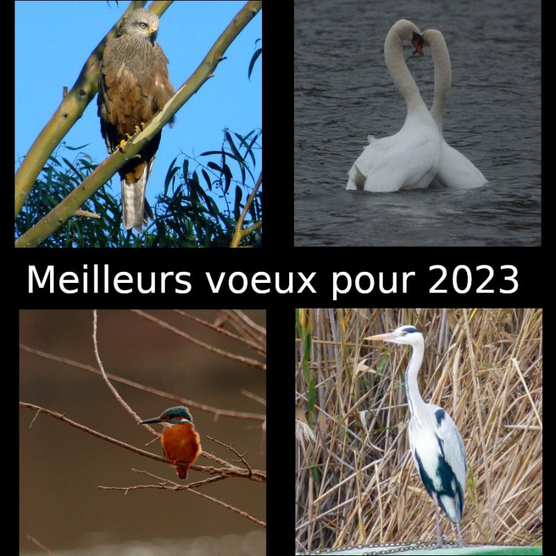 voeux-2023-termine.JPG