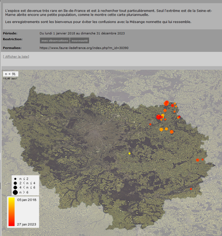 Mésange boréale IDF.PNG