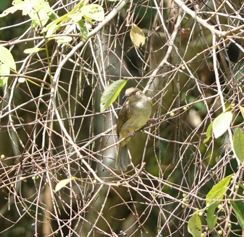 DSC06972.JPG