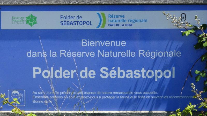 Noirmoutier 202206 Visite LPO au Polder de Sébastopol (8).JPG