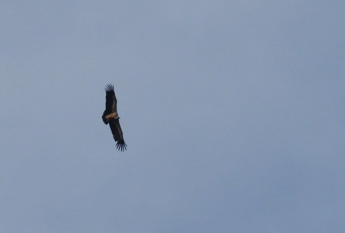 DSC_3955.JPG