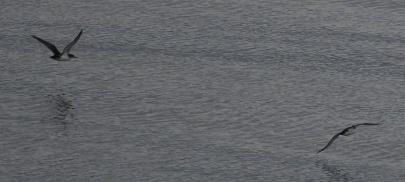 DBC_0129.jpg