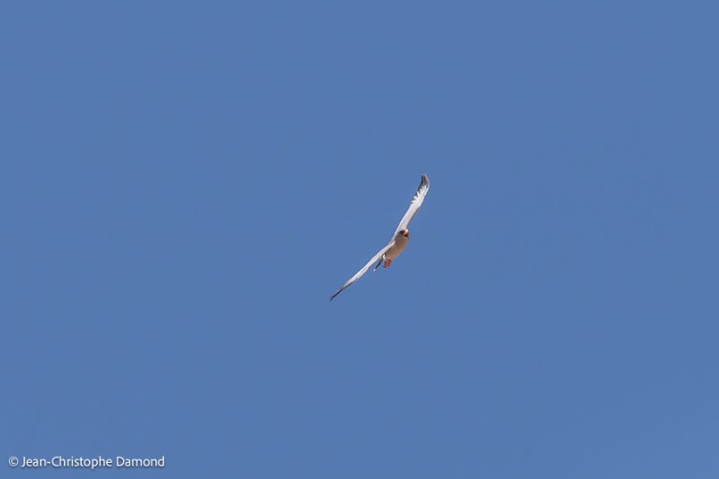20230113-DSC_1060.jpg
