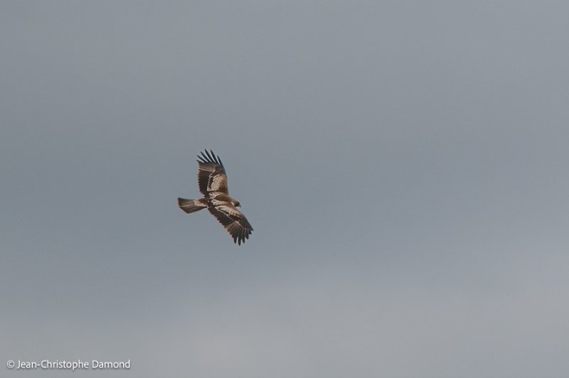 20121103-DSC_7620.jpg