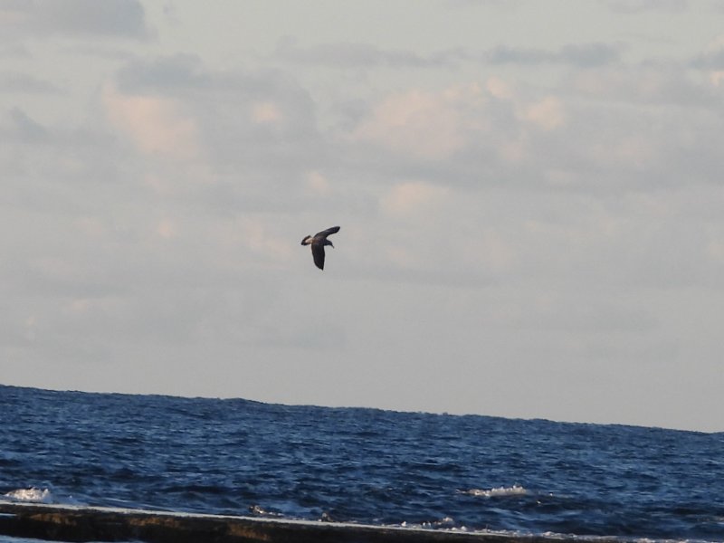 DSCN7359.jpg