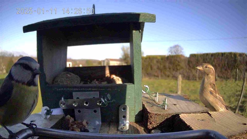 Photo1.JPG