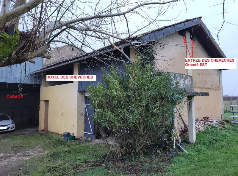 Garage4.JPG
