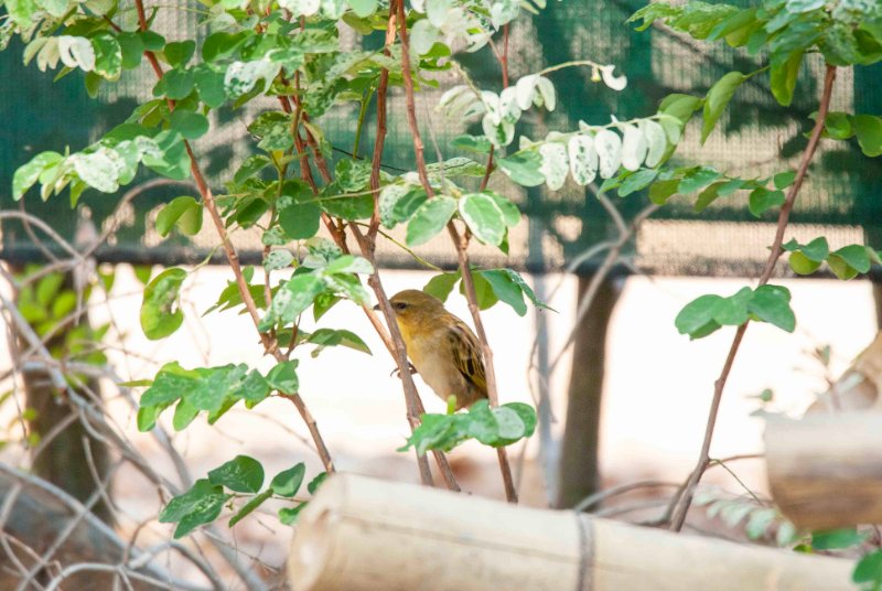 DSC08536.jpg