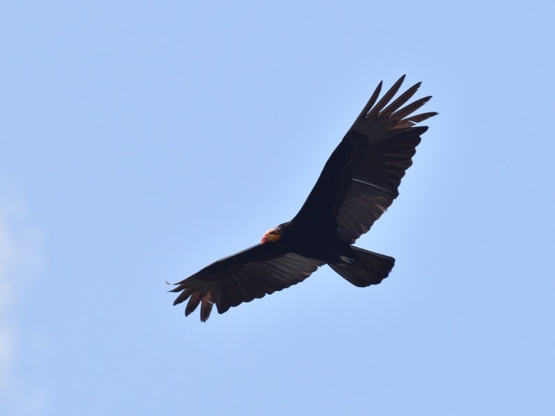 AAN_7909.JPG