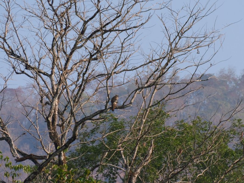 P1081192.JPG