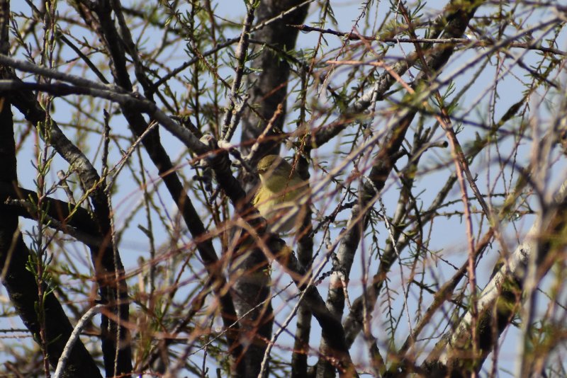DSC_0173.JPG