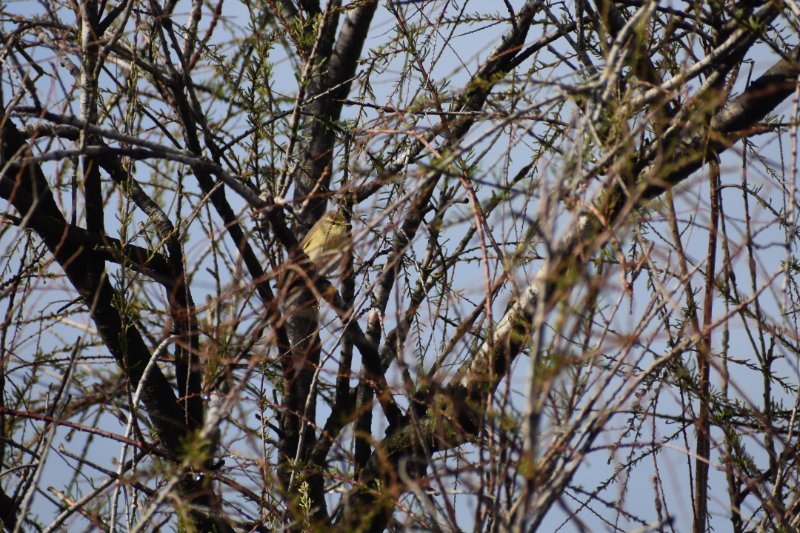 DSC_0174.JPG