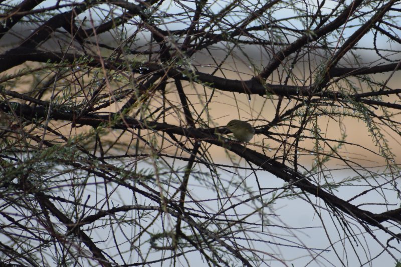 DSC_0166.JPG