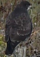 DSC_7655_2.JPG