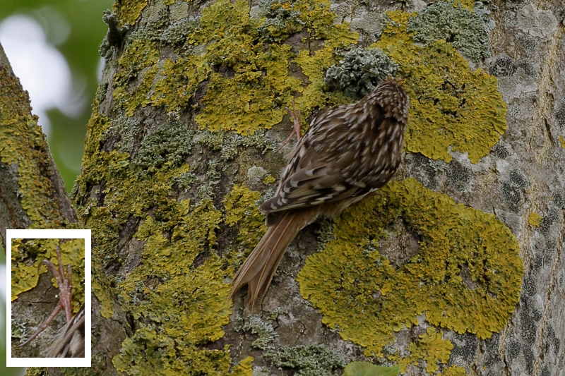 DSC_0184_s2.jpg
