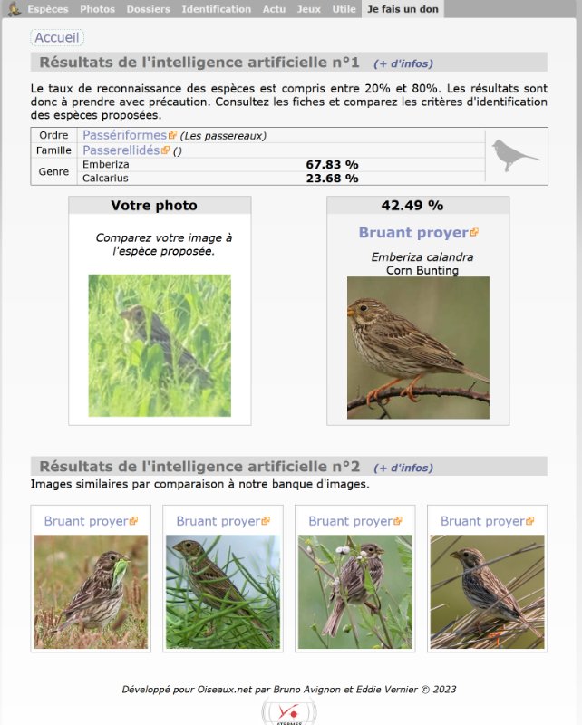 ornitho.com.jpg