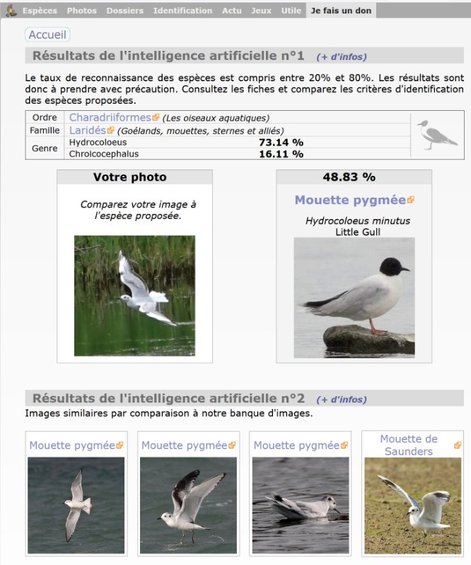 Capture1.jpg